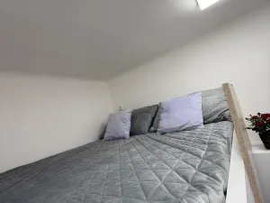 Pronájem bytu 1+kk, Opava - Předměstí, Alšova, 15 m2
