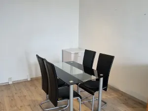 Pronájem bytu 1+kk, Brno, 47 m2
