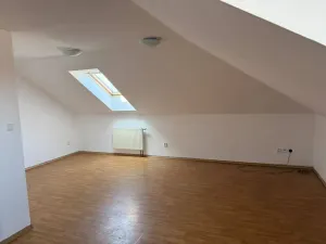 Pronájem bytu 1+kk, České Budějovice, Skuherského, 42 m2