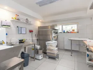 Prodej obchodního prostoru, Praha - Vršovice, Petrohradská, 68 m2