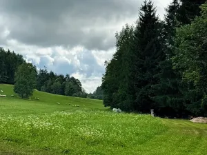 Prodej bytu 3+kk, Vikantice, 57 m2