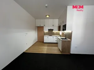 Pronájem bytu 1+kk, Řevničov, Karlovarská, 25 m2
