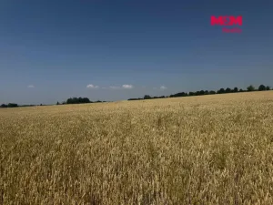 Prodej pole, Město Albrechtice, 224621 m2