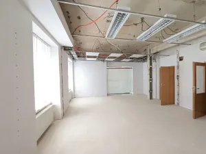 Prodej vícegeneračního domu, Brno, Hlinky, 1140 m2