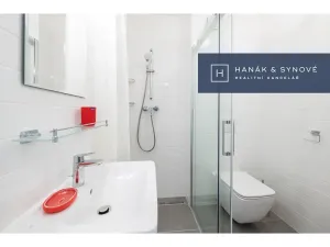 Pronájem bytu 1+kk, Brno, Křenová, 20 m2