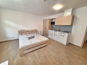 Pronájem bytu 1+kk, Olomouc, 1. máje, 25 m2