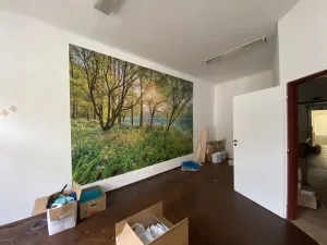 Pronájem obchodního prostoru, Prachatice - Prachatice I, Velké náměstí, 365 m2