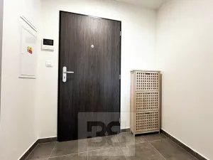 Pronájem bytu 1+kk, Plzeň, Boettingerova, 33 m2