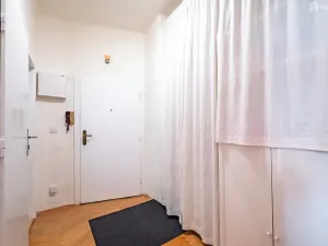Prodej bytu 1+1, Brno, Pod kaštany, 49 m2