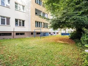 Prodej bytu 1+1, Brno, Pod kaštany, 49 m2
