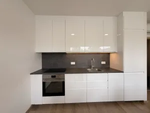 Pronájem bytu 1+kk, Mladá Boleslav - Čejetice, Vodárenská, 38 m2