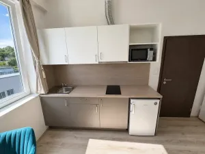 Pronájem bytu 2+kk, Brno, Franzova, 38 m2
