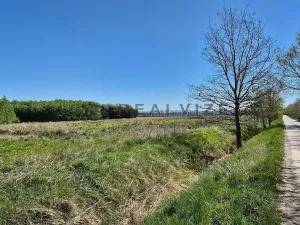 Prodej pozemku pro bydlení, Čejkovice, 900 m2