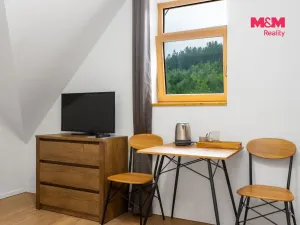 Prodej bytu 1+kk, Horní Lhota, 18 m2