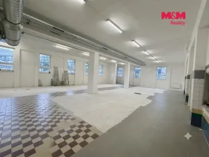 Pronájem obchodního prostoru, Ostrava - Slezská Ostrava, Šenovská, 560 m2