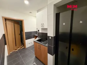 Pronájem obchodního prostoru, Ostrava - Slezská Ostrava, Šenovská, 560 m2