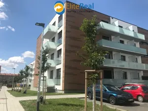 Pronájem bytu 1+kk, Olomouc, Třída Jiřího Pelikána, 35 m2
