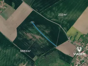 Prodej podílu pole, Medlice, 775 m2