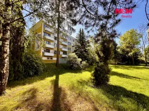 Pronájem bytu 1+kk, Nové Město nad Metují, Družstevní, 28 m2