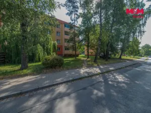 Prodej bytu 3+1, Karviná - Ráj, Haškova, 58 m2
