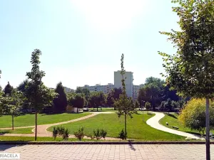 Pronájem bytu 1+1, Brno, Schwaigrova, 35 m2