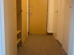 Prodej bytu 2+1, Praha, V olšinách, 45 m2