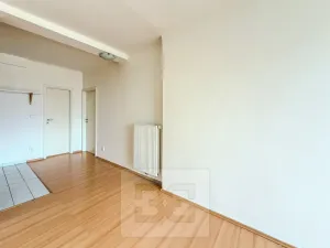 Pronájem bytu 2+kk, Praha - Nusle, Marie Cibulkové, 40 m2