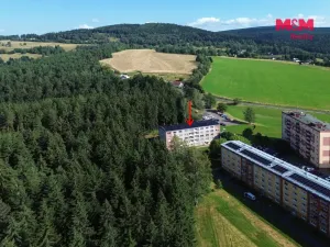Prodej bytu 2+1, Rotava, Sídliště, 53 m2