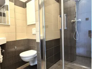 Prodej bytu 1+kk, Praha - Karlín, Nekvasilova, 29 m2