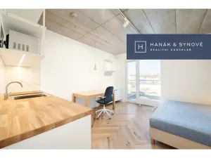 Pronájem bytu 1+kk, Brno, Chaloupkova, 23 m2