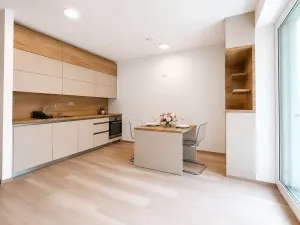 Pronájem bytu 1+kk, Mladá Boleslav, Nad Červenkou, 27 m2