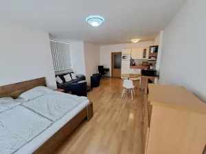 Prodej bytu 1+kk, Brno, Vídeňská, 42 m2