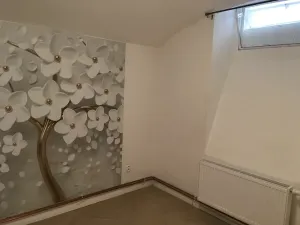 Pronájem bytu 1+1, Praha - Karlín, Březinova, 41 m2