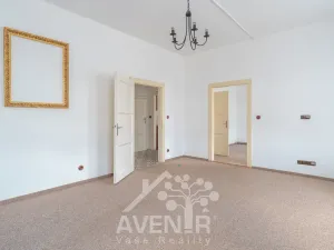 Prodej obchodního prostoru, Kroměříž, Žižkova, 244 m2