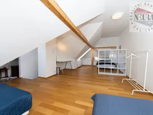 Pronájem bytu 4+kk, Praha - Motol, U hrušky, 150 m2