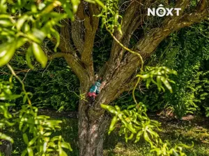 Prodej rodinného domu, Cvikov, Nová, 169 m2