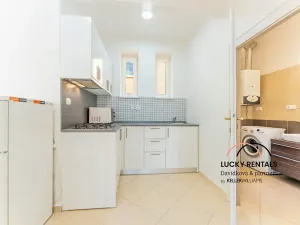 Pronájem bytu 1+kk, Praha - Vinohrady, Moravská, 49 m2