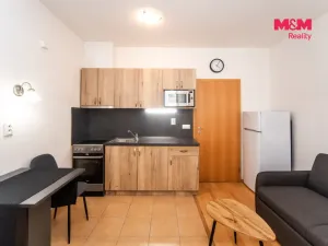 Pronájem bytu 1+kk, Praha - Smíchov, Na Neklance, 31 m2