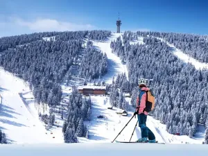Prodej bytu 1+kk, Loučná pod Klínovcem, 35 m2