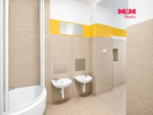 Pronájem bytu 4+kk, Hradec Králové, Rokycanova, 105 m2