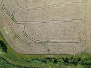 Prodej pole, Kněžice, 6174 m2