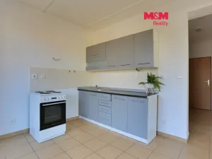 Pronájem bytu 2+kk, Český Těšín, Svojsíkova, 56 m2