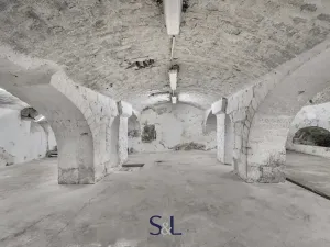 Prodej komerční nemovitosti, Železný Brod, 2098 m2