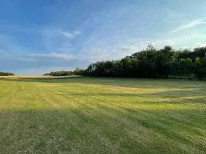 Prodej pozemku pro bydlení, Bukovina u Přelouče, 800 m2