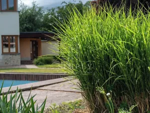 Prodej rodinného domu, Všestudy, 120 m2