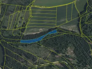 Prodej pozemku, Volfířov - Brandlín, 5958 m2