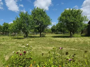 Prodej rodinného domu, Racková, 300 m2