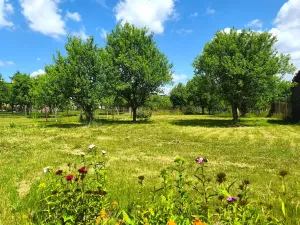 Prodej rodinného domu, Racková, 300 m2