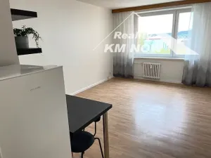 Pronájem bytu 1+kk, Kroměříž, 17. listopadu, 33 m2