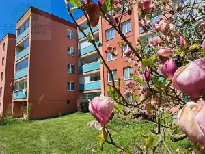Pronájem bytu 2+kk, Havířov, Jurije Gagarina, 46 m2